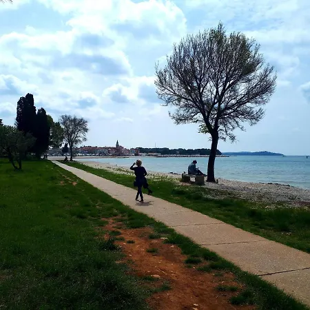 Maison d'hôtes Matea